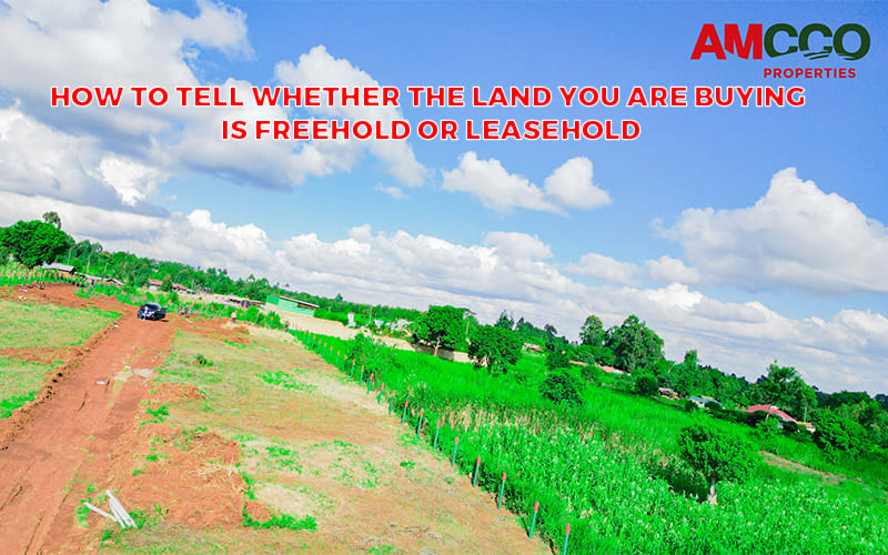 How to Tell Whether the Land You Are Buying is Freehold or Leasehold